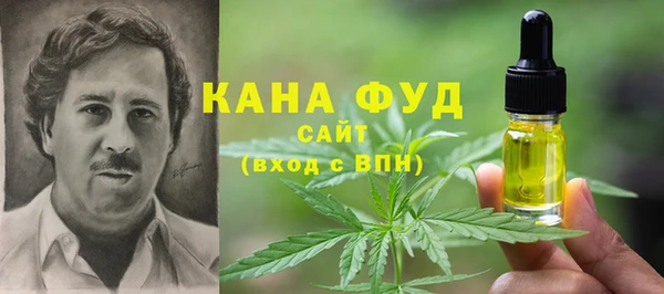 тгк Бородино