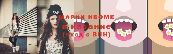 тгк Бородино