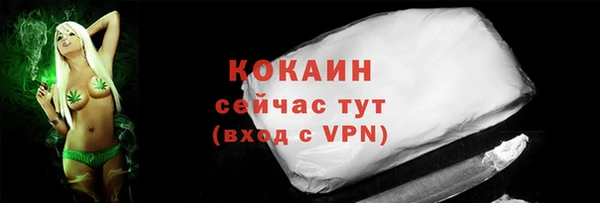 тгк Бородино