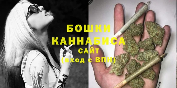 тгк Бородино