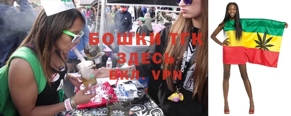 герыч Бронницы