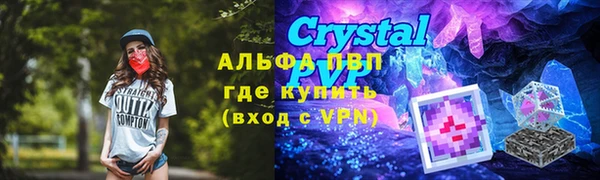 тгк Бородино