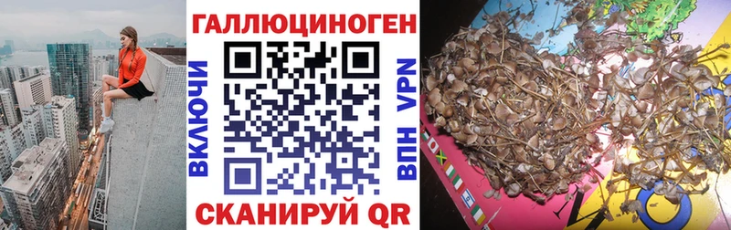 мега ТОР  Новочеркасск  Галлюциногенные грибы ЛСД  магазин продажи  